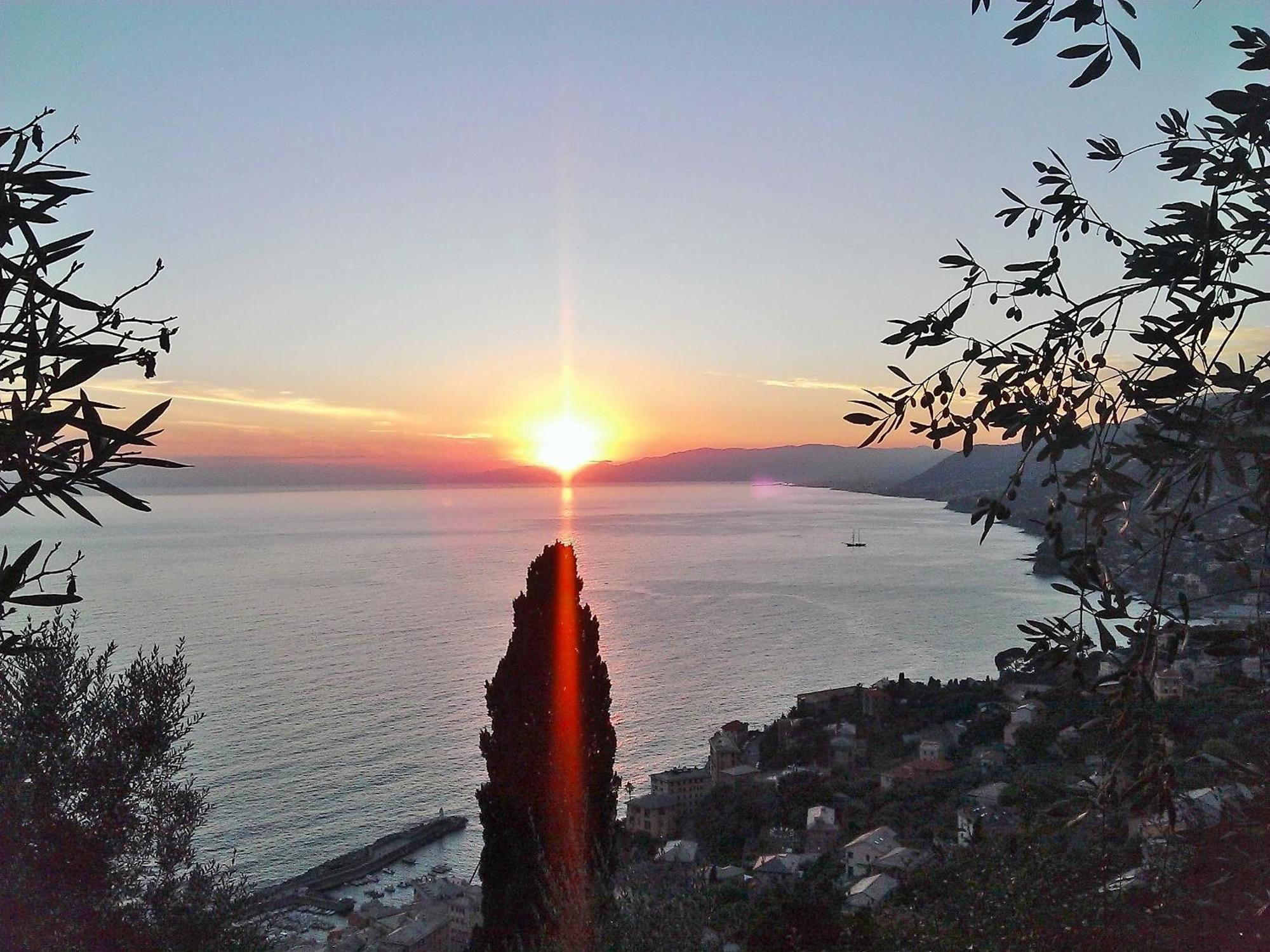 Villetta Sul Mare Camogli Bagian luar foto